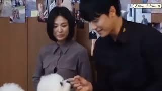 Lee Do Hyun with Song Hye Kyo Dog Ruby  The Glory Behind The Scene