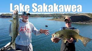 Discover Why Lake Sakakawea Stuns Every Visitor