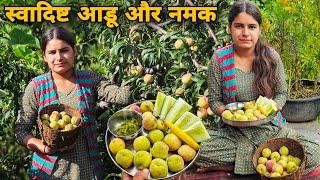 पहाड़ों का सबसे स्वादिष्ट और रसीलेदार फल आडू (Peach) और नमक | the taste of pahadi fruits | RTK Vlogs