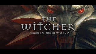 Ведьма Абигайл. The Witcher: Enhanced Edition #6