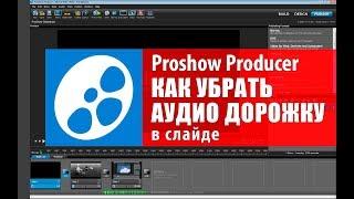 Proshow Producer видео урок. Как убрать аудио дорожку в Proshow.