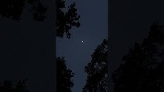 The moon shine.#naturevibes #moon #moonshine