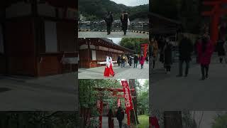 Glimpses of Kyoto’s beauty.  #japan