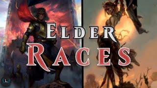 The Elder Races | Witcher Explained Part 4 | Witcher Lore