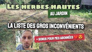 STOP AUX HERBES HAUTES ! Au feu la biodiversité !