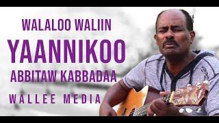 Abitew Kebede - Yaannikoo - Oromo Music Lyrics [HD]