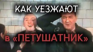 КАК УЕЗЖАЮТ В «ПЕТУШАТНИК» / РЕАЛЬНЫЙ СЛУЧАЙ