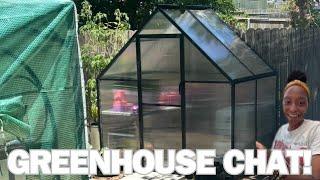 Chatting While I Pot Up Seedings in the Greenhouse