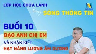 Buổi 10: Đạo Anh Chị Em Và Nhận Biết Hạt Năng Lượng Âm Dương