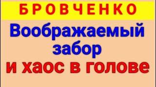 Бровченко.  Обзор влогов. 20 09 2024 Бровченко