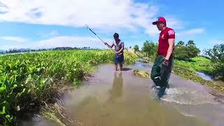 Today Happy Day With Activity!!! Remove Floating Plants Clogged Massive Dam Drain Water-VD Non Stop