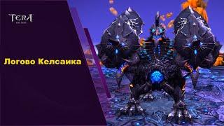 Логово Келсаика, гайд, Tera Online