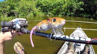 Big Smallies Love Rats!