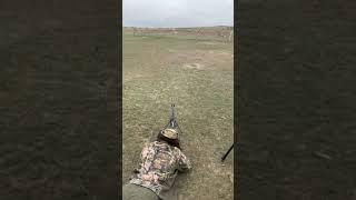 Prairie dog VS. 50 BMG