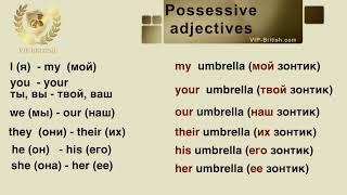 Level A1. Possessive adjectives.