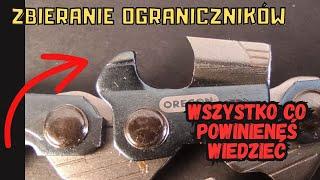 Ogranicznik w łańcuchu pilarki. Wszystko co musisz wiedzieć!