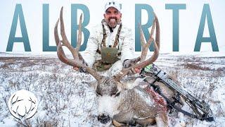 Ice Cold Alberta, Lee's 2023 Archery Mule Deer // Lee and Tiffany Lakosky