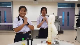 Science Show : Elephant toothpaste !!!! [DeSUP]