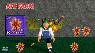 How to Farm FIRE FLOWER in Blox Fruits | FASTEST WAY Update 24