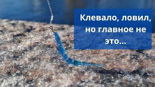 #84 #спиннинг  У меня для вас новость! Заодно смотрите, как снимает новая камера