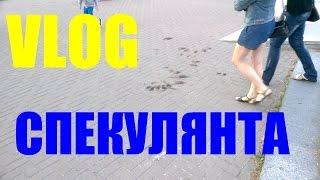 VLOG:Таинственные Следы.Аферист и Обманщик.Считать Надо Медленно.