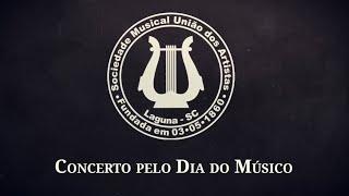 UNIÃO DOS ARTISTAS: CONCERTO PELO DIA DO MÚSICO - 23.11.2024