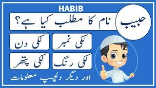 Habib Name Meaning in Urdu - Habib Name Meaning - Islamic Boy Name - Amal Info TV