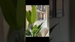 How to decorate your entrance hall.
