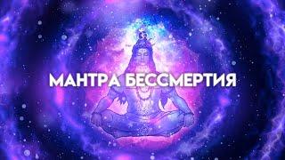 Мантра Бессмертия. Побеждающая смерть. Mahamrityunjaya Mantra. Мритьюмджая мантра. Шива. Shiva.