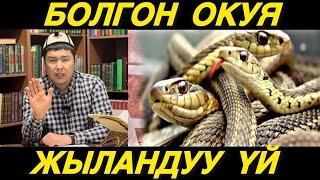 Жүрөктү титиреткен окуя | жыландуу үй | Мухаммад Бекмин