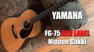 Yamaha Red Label FG 75 Nippon Gakki - Initial Cleanup