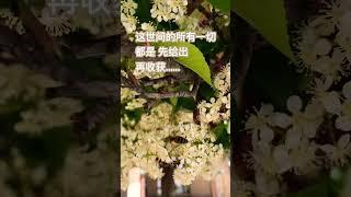 爱之环 始于当下