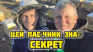 Секрет вдалої зимівлі та весняного старту бджіл