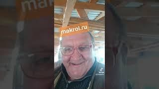 Крольчата в маточнике Мини-фермы #МакляК #Макрол