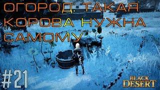 Black Desert #21 Огород. Как заполучить корову.