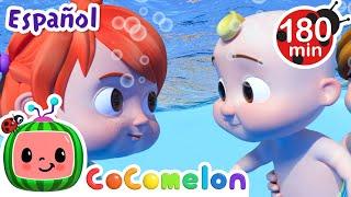 A nadar | CoComelon y los animales | Dibujos para niños