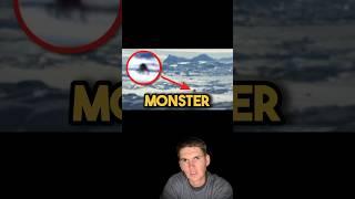 Antarctica Giant Spider Cryptid Explained 