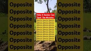 Only A Genius Can Spot The Mistake:Episode-147.Try Your Skills!#shorts #puzzlegame #trendingshorts
