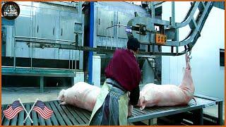 Discover The Process Of Raising Pigs From Birth To Processing Giant Pigs | Food Factory