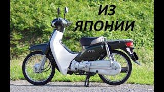 Покупаем Honda Super Cub из Японии!