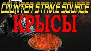 Прикольные и смешные моменты в Counter Strike Source НАШЕСТВИЕ КРЫС!!!