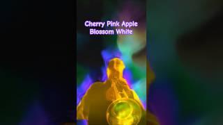 "Cherry Pink, Apple Blossom White" | Epic Trumpet Cover to Brighten your day 
