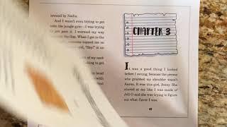 Chapter 2 - Diary of a 5th Grade Outlaw