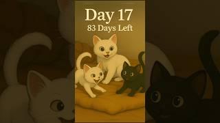 DAY-17Free ADOPTION after 100 days.. read full description. #newbornkitten #persiancats