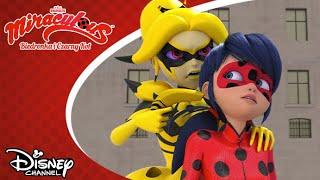  Podstęp | Miraculous: Biedronka i Czarny Kot | Disney Channel Polska