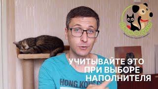 Что нужно учитывать при выборе наполнителя для кошек? Какой наполнитель подойдет для кошки?