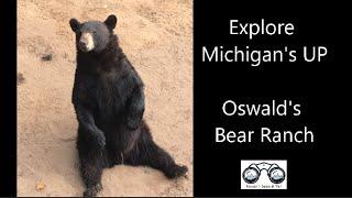 Oswald's Bear Ranch - Explore Michigan's UP -- Haven't Seen It Yet