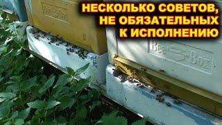 Несколько советов, не обязательных к исполнению.