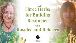 3 Herbs for Resilience with Rebecca Altman + Soft and Cozy Tea Recipe