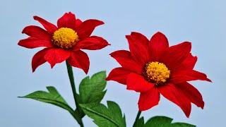 How To Make Mexican Sunflower Weed Paper Flower / Paper Flower / Góc nhỏ Handmade